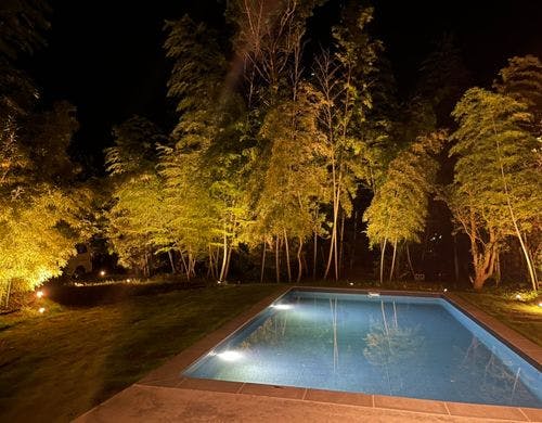 庄屋の里たなか　竹林とナイトプール
