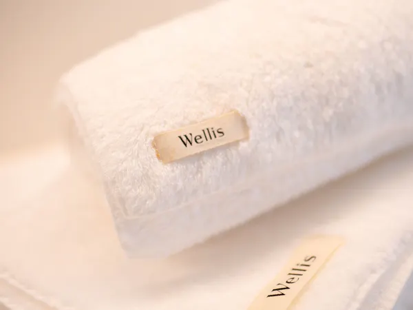 Wellis Villa Hanare