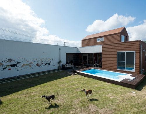 third dog ドッグラン