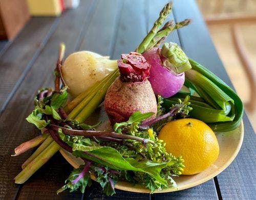 【出張シェフプラン】三浦半島の野菜