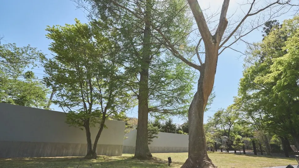 VILLA SAISON FUJI