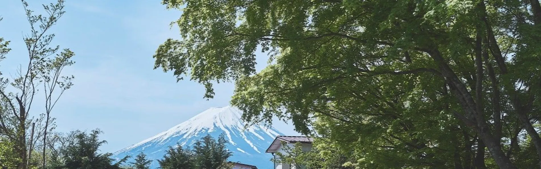 VILLA SAISON FUJI