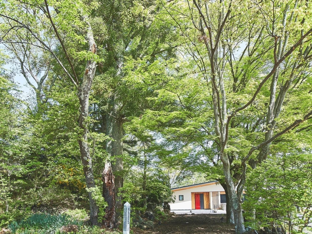 VILLA SAISON FUJI