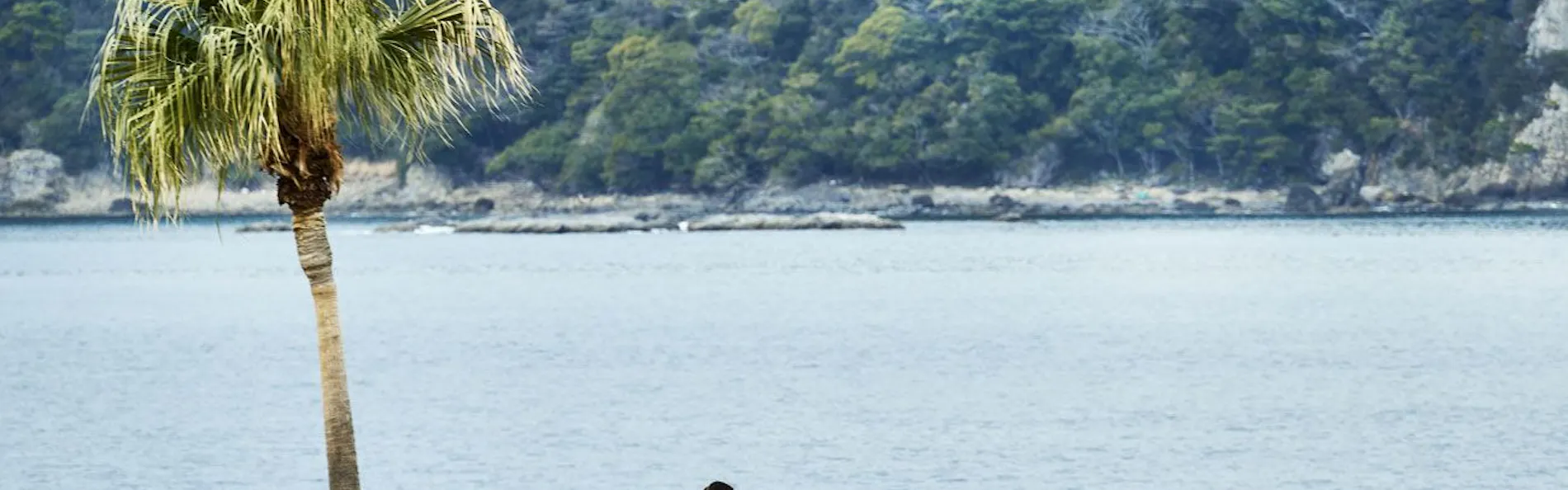 グランオーシャンリュクス海熊野