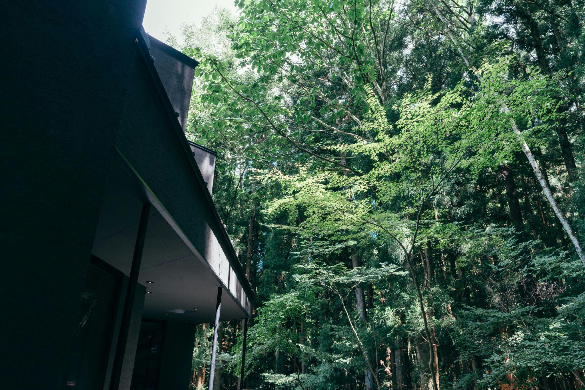 mysa fuji