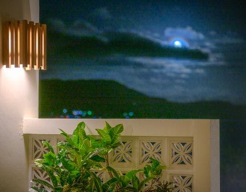 花ブロック（外）