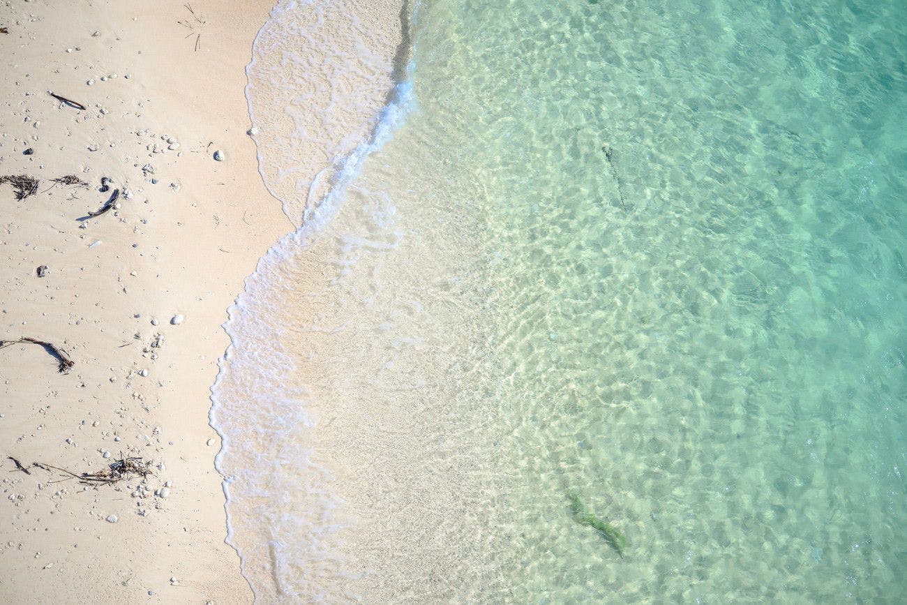 แอนตี้ฮามะ