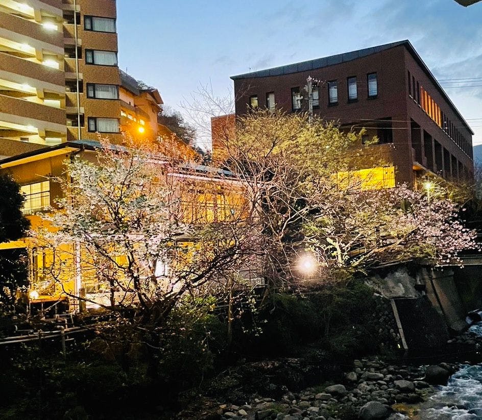 THE BENIYA 湯河原