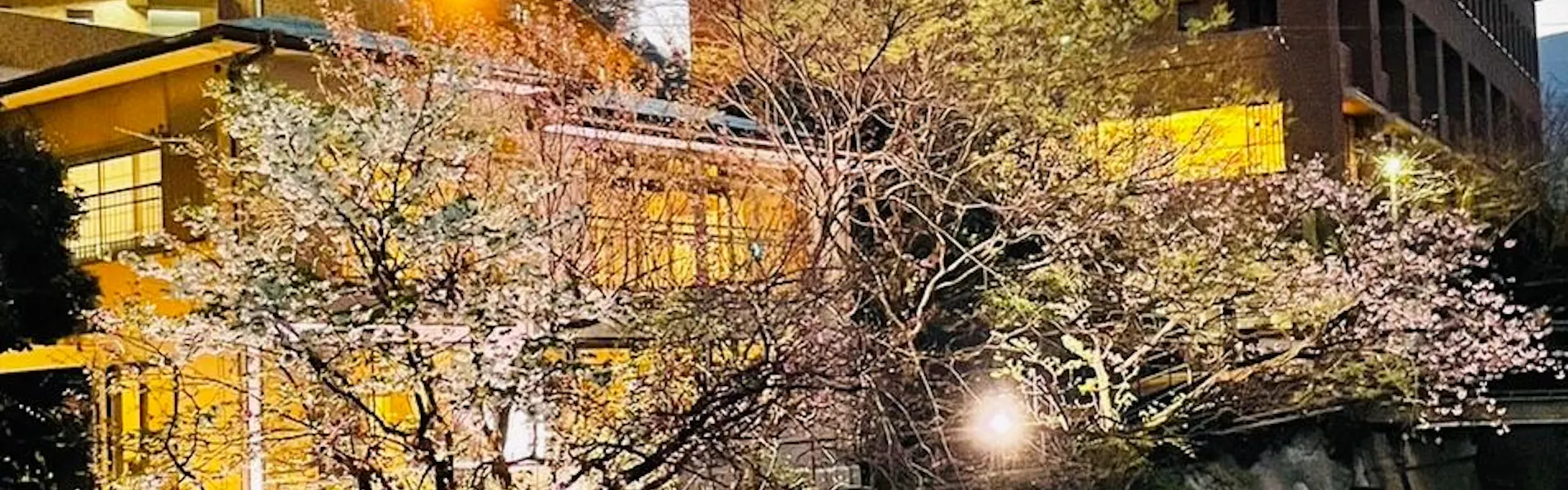 THE BENIYA 湯河原