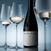 MINAKI สุดมหัศจรรย์เหนือจินตนาการ