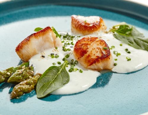 シェフ・プラン