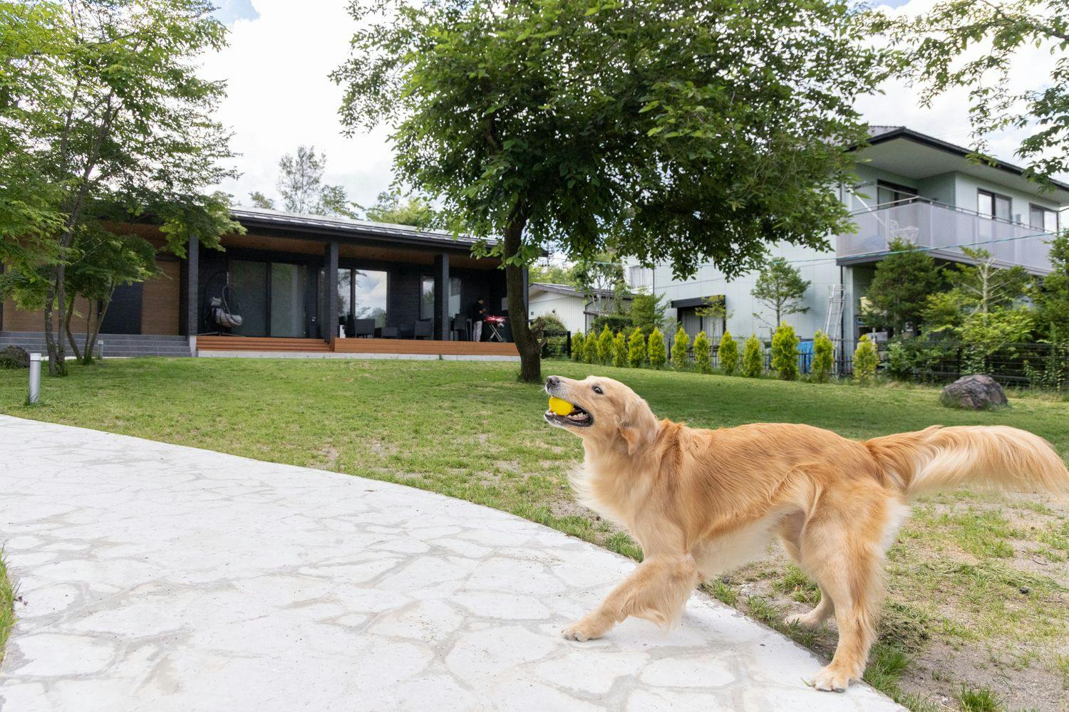 トライハク軽井沢 日向ーひなたー