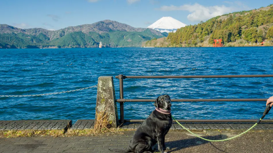 Rakuten STAY FUJIMI TERRACE Hakone Ashinoko