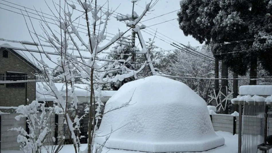 Vacation Rental SUGOMoRI Resort Ikuno Kogen