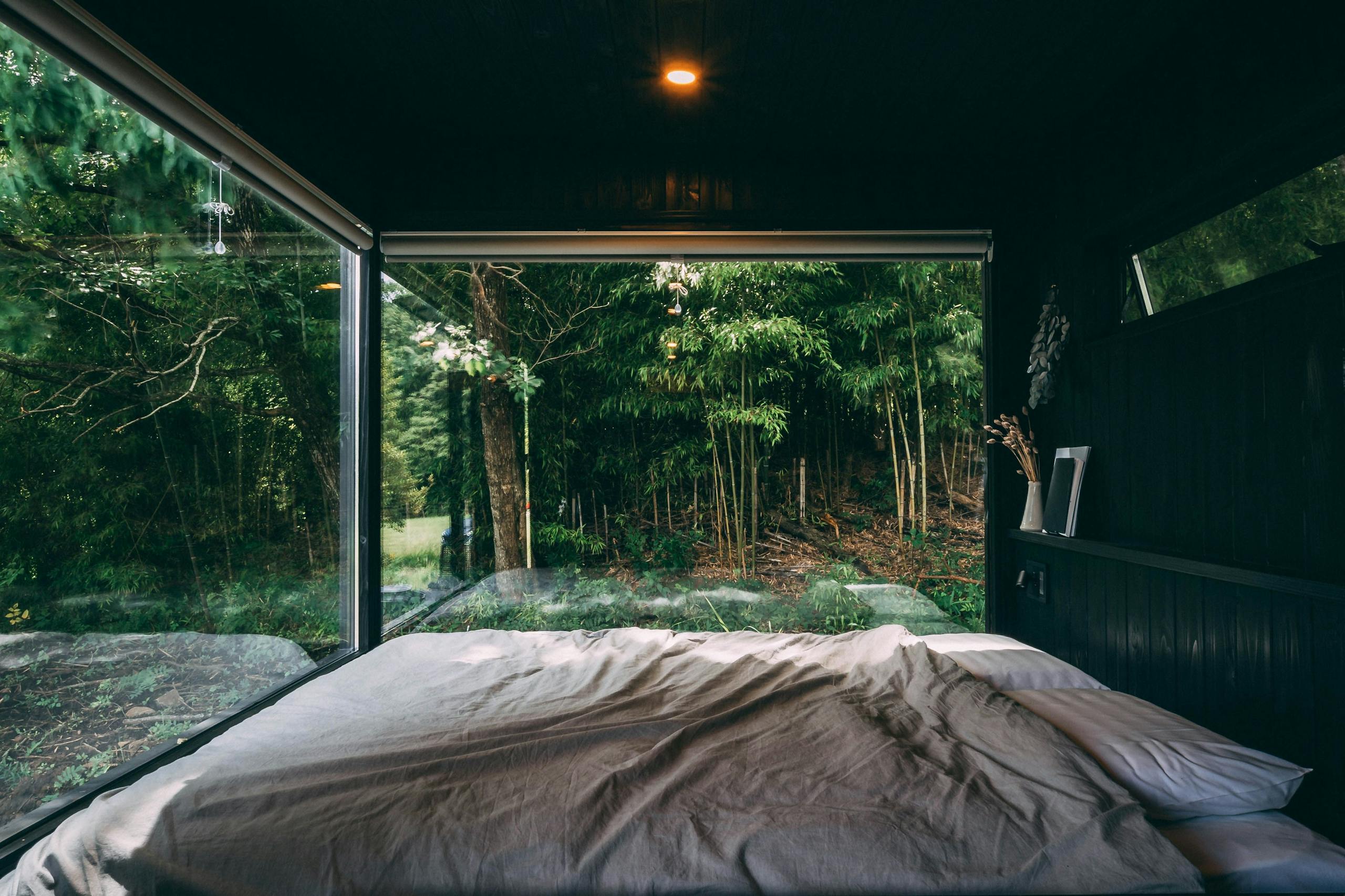 THE NATURE 八ヶ岳