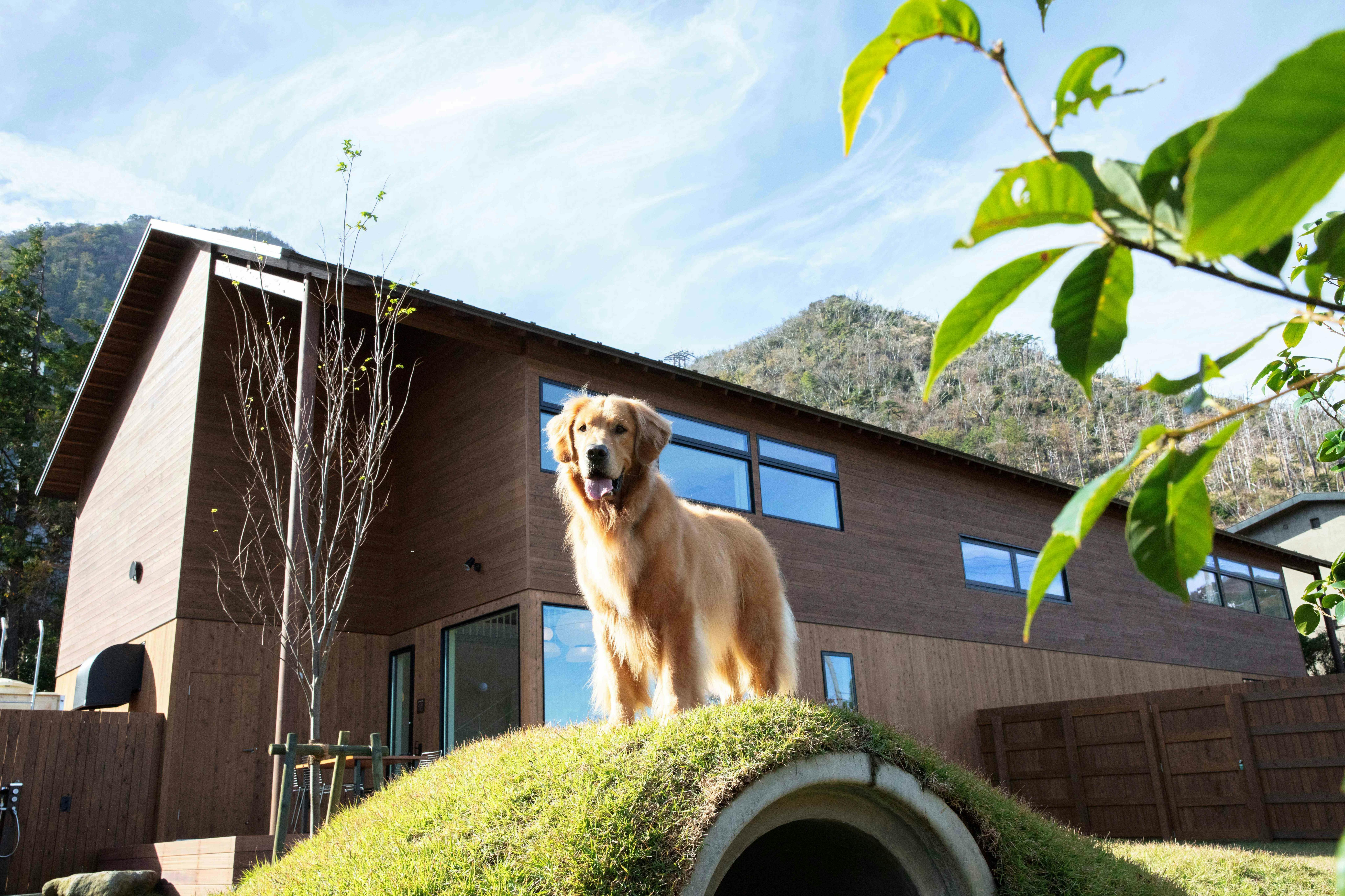 Setiap Bilik mempunyai taman peribadi kira-kira 200 meter persegi.