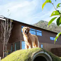 Setiap Bilik mempunyai taman peribadi kira-kira 200 meter persegi.