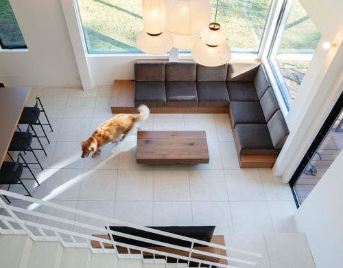 広々のリビングは大型犬もゆとりのサイズ