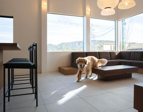 広々のリビングは大型犬でもゆとりのサイズ