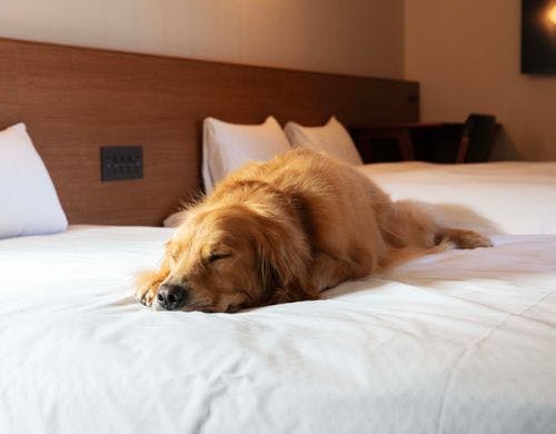 マットレスはシモンズ製