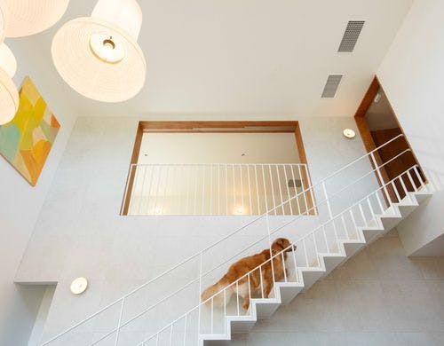 階段は滑りにくい素材を採用し傾斜も緩やか