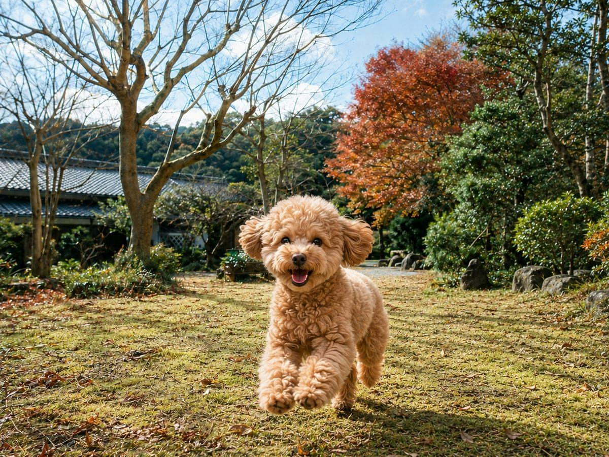 【ペット可】愛犬と泊まる半露天風呂付き一棟貸し｜広々とした日本庭園と江戸の趣を満喫