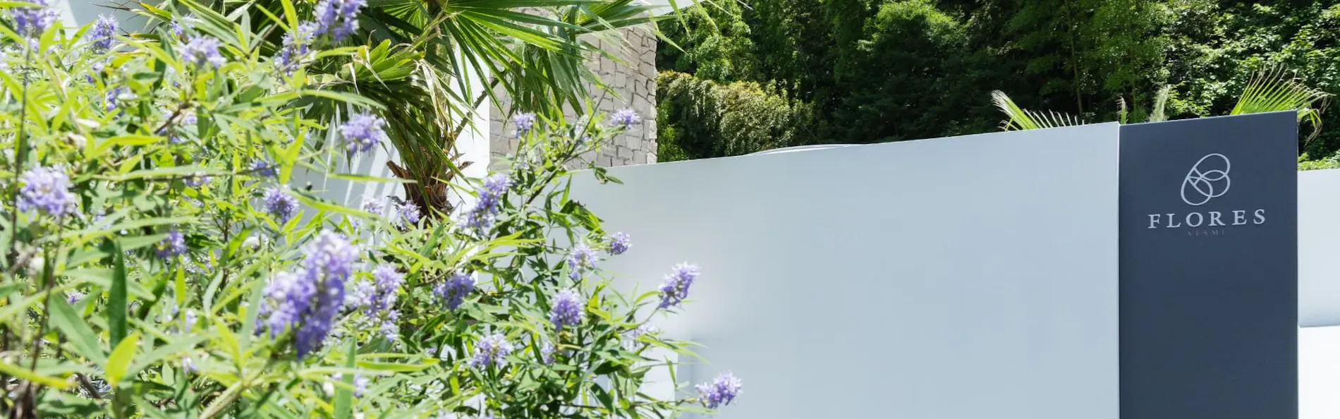 ASNOVA RESORT / FLORES ATAMI