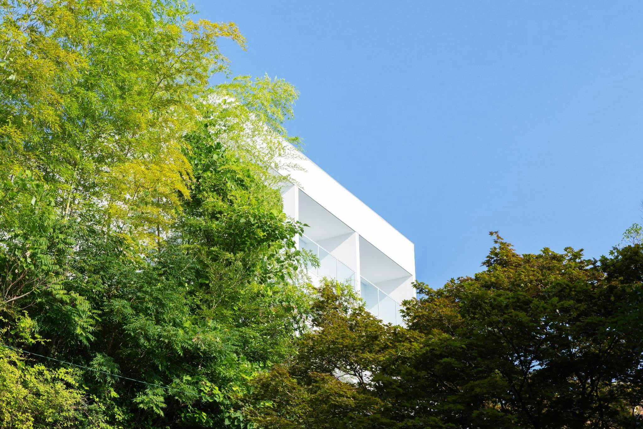 ASNOVA RESORT / FLORES ATAMI