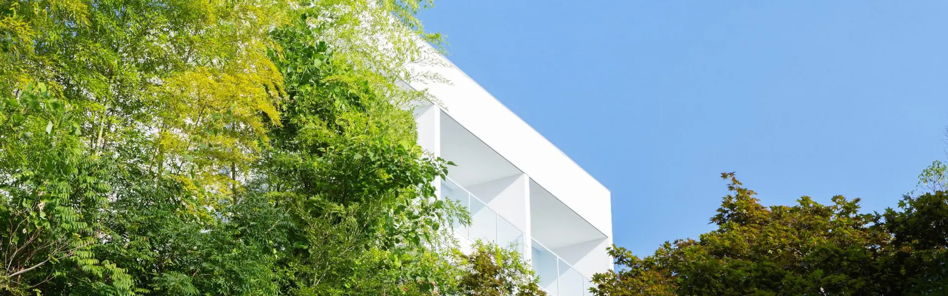 ASNOVA RESORT / FLORES ATAMI