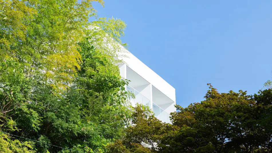 ASNOVA RESORT / FLORES ATAMI