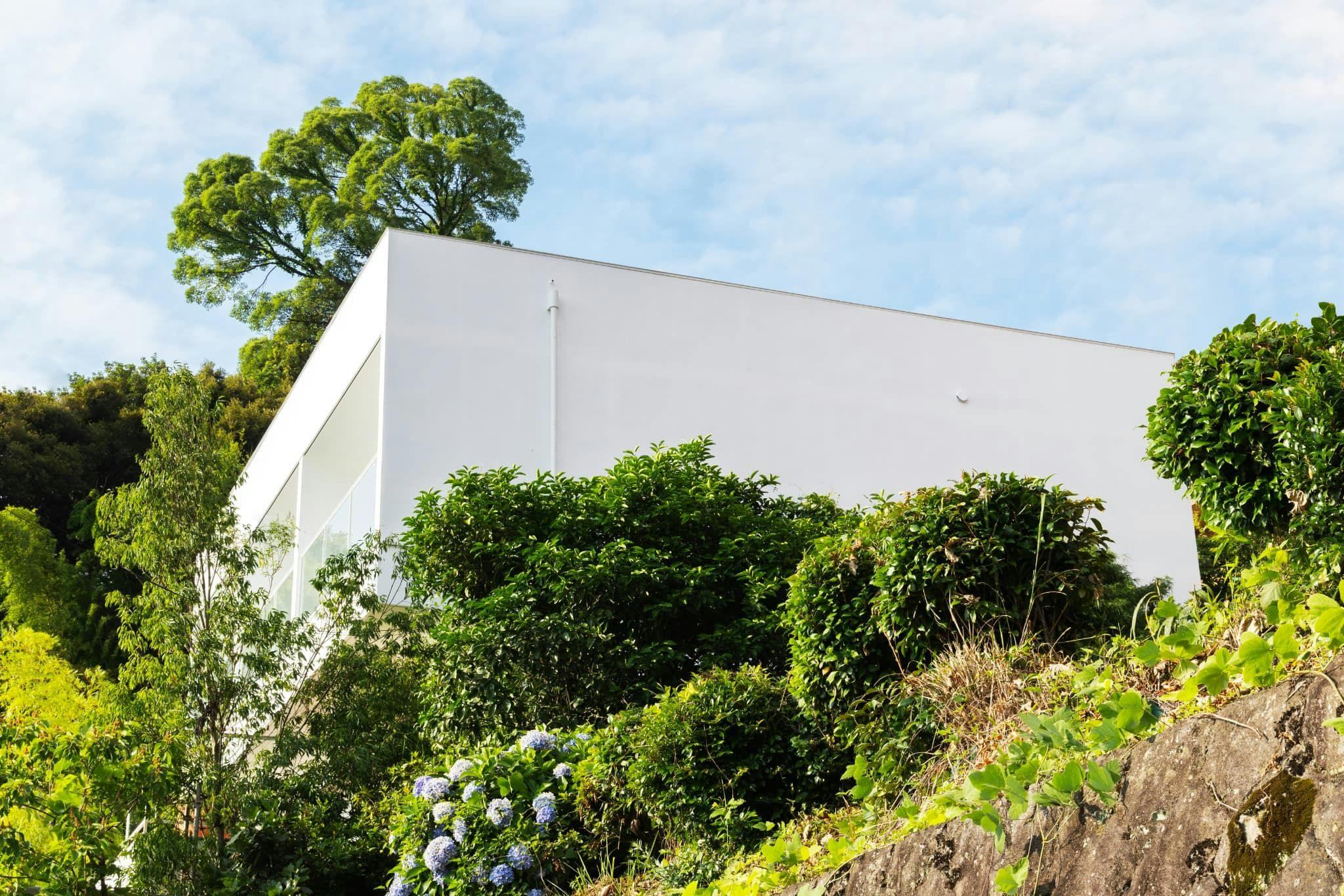 ASNOVA RESORT / FLORES ATAMI