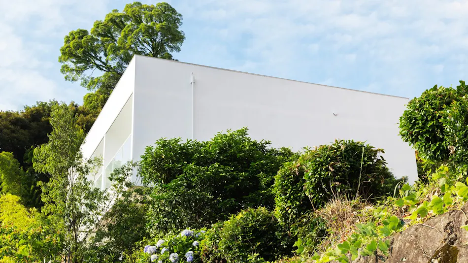 ASNOVA RESORT / FLORES ATAMI
