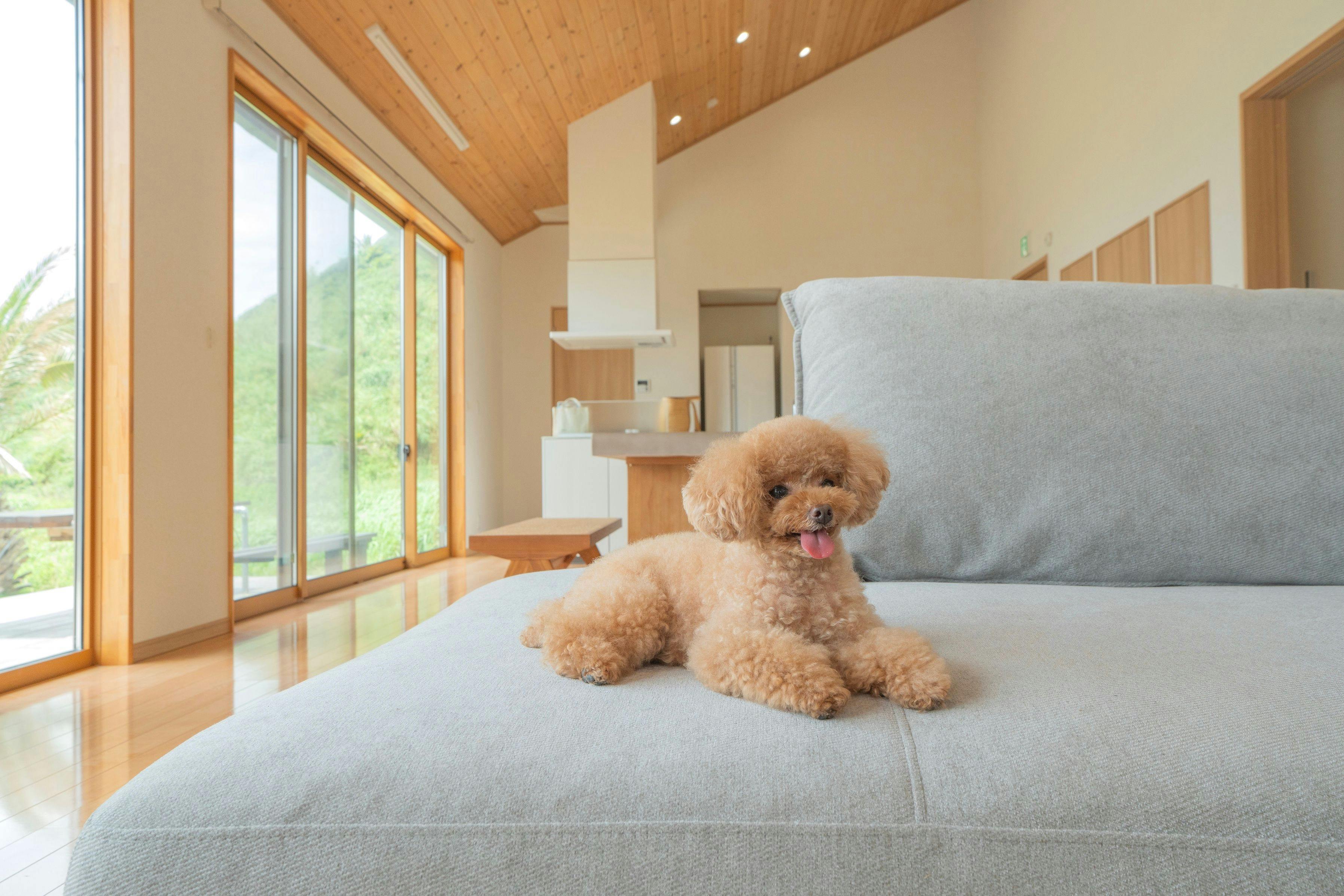 ห้องนั่งเล่นและห้องรับประทานอาหาร