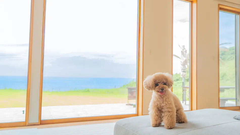 Doggy's Tateyama Mera Beach by GIFTHOUSE - Dog-Friendly Villa -