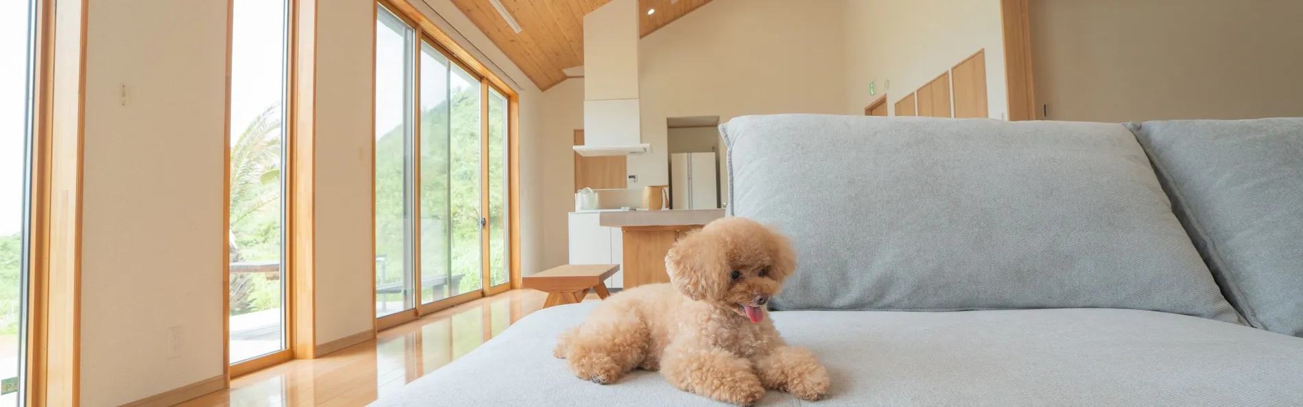 ドギーズ 館山 布良海岸 by GIFTHOUSE - Dog friendly villa -