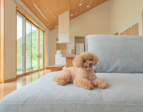 リビングダイニング