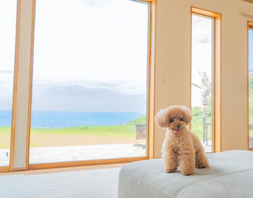 リビングダイニング