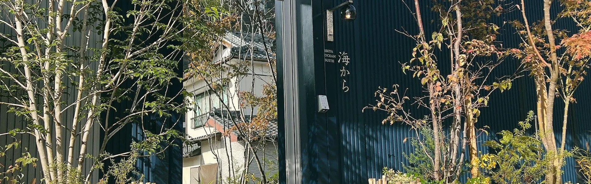 海から