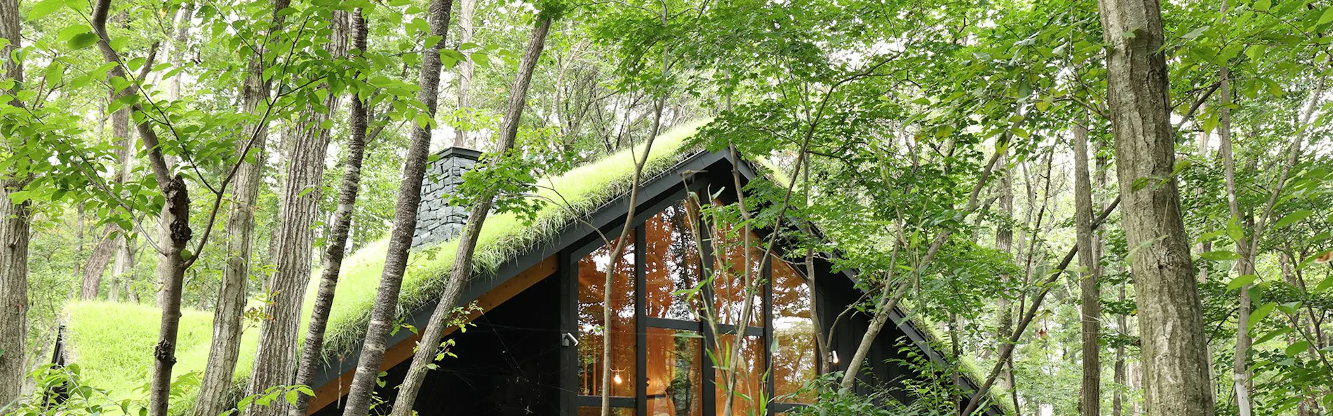 北欧伝説 ドワーフの村