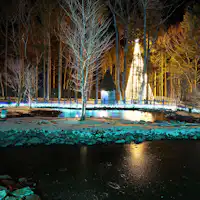 ドワーフの水庭からのイルミネーション