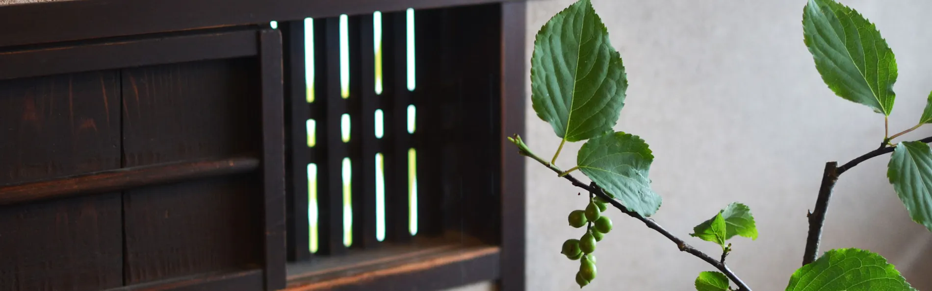 別邸 六花