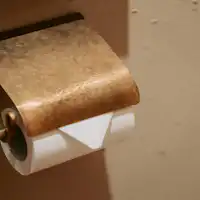 锻金工艺的卫生纸架
