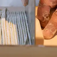 達人と楽しむ十割蕎麦打ち体験