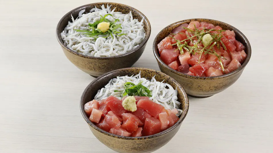 Richmond Hotel Premier Musashi Kosugi