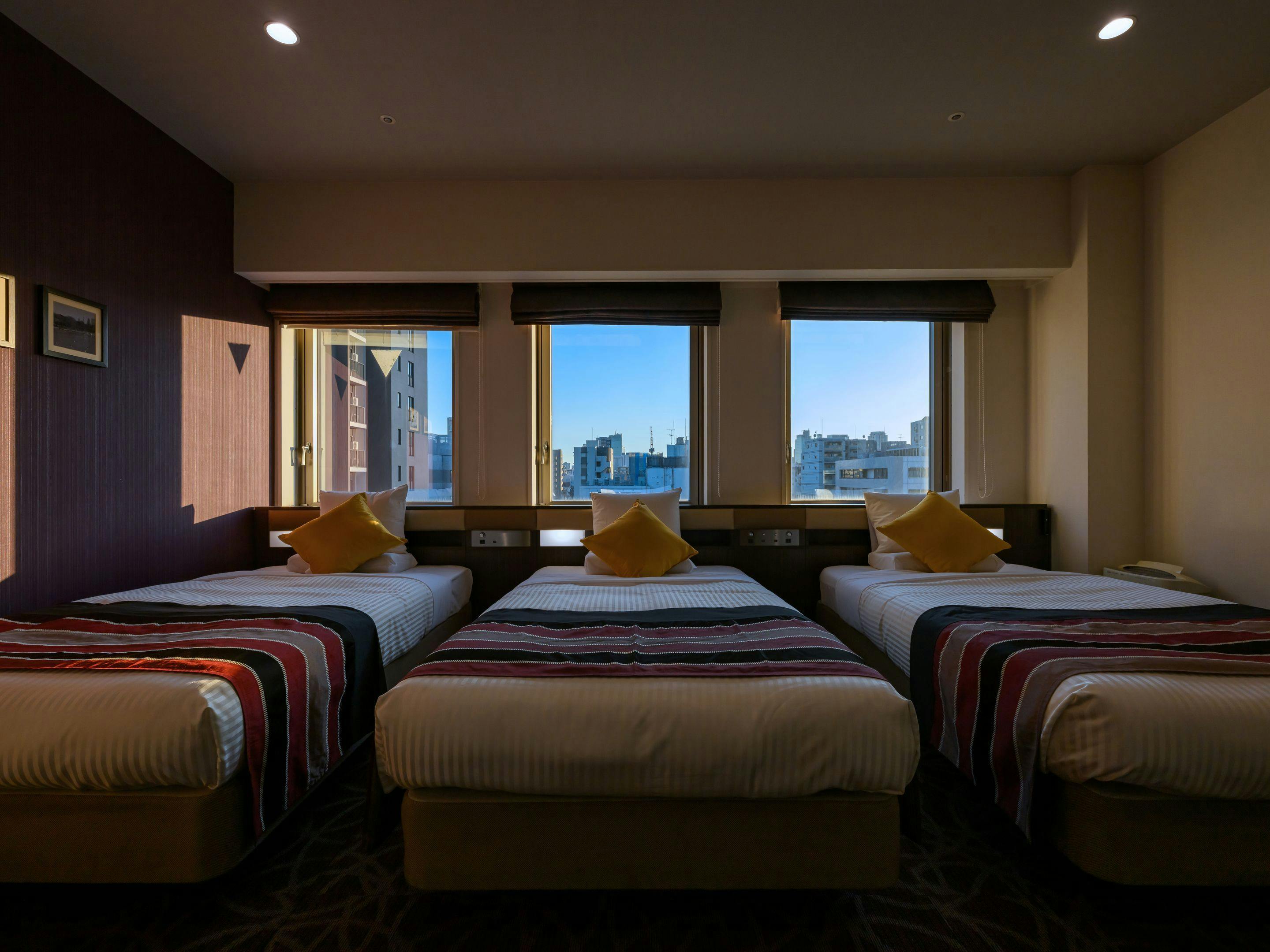 Hotel MyStays Ueno East