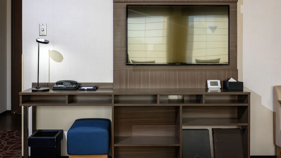 Hotel MyStays Ueno East