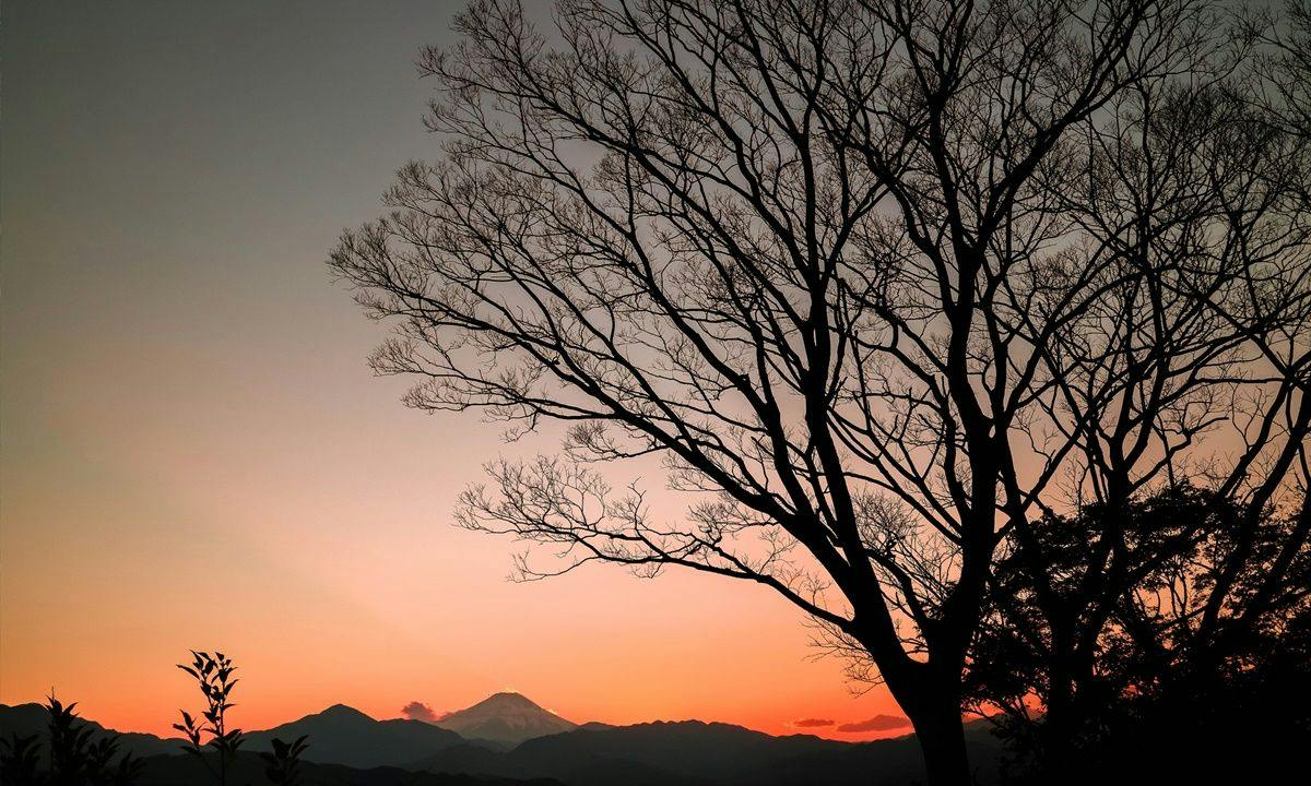 【早期割60】【朝食付】人気の日付は2カ月前までの予約がお得！高尾山や富士山の観光拠点にも便利