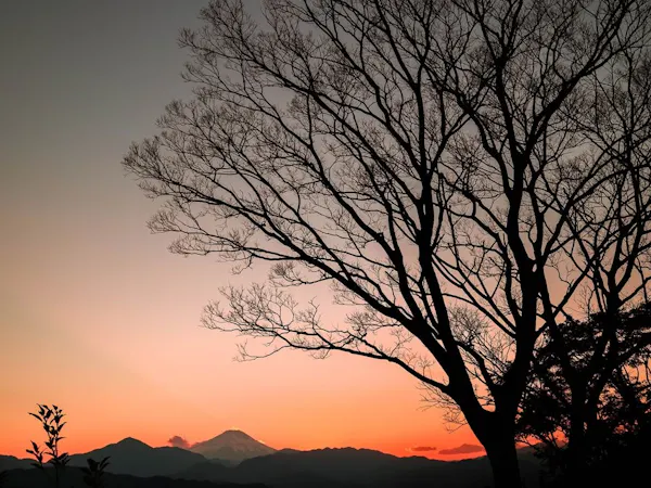 【早期割60】【朝食付】人気の日付は2カ月前までの予約がお得!高尾山や富士山の観光拠点にも便利