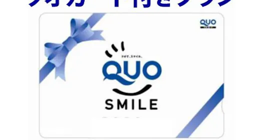 【QUOカード1000円付】(素泊まり)