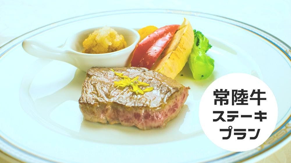 ホテル　テラス　ザ　スクエア　日立
